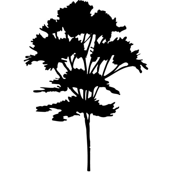 TREE0025 Thumbnail